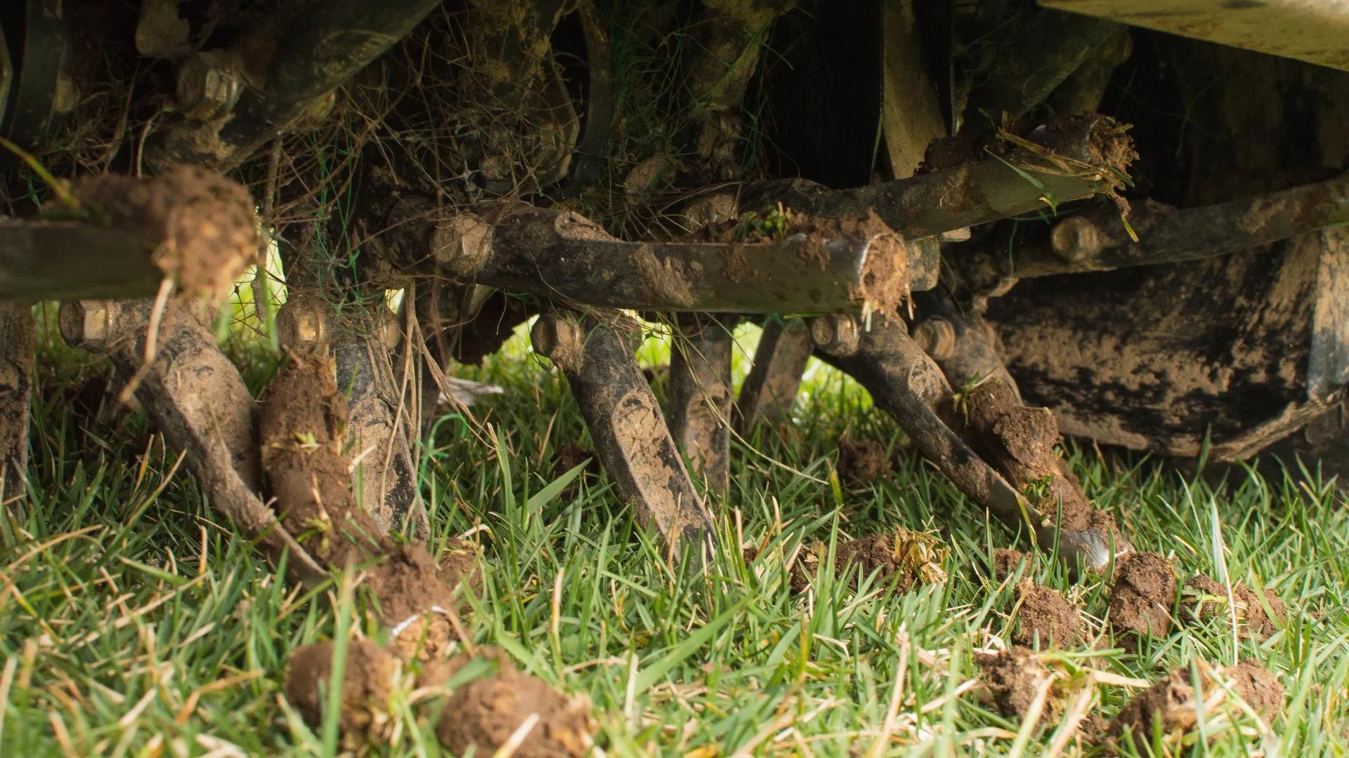 Core Aeration Aftercare: What to Do for Your Lawn