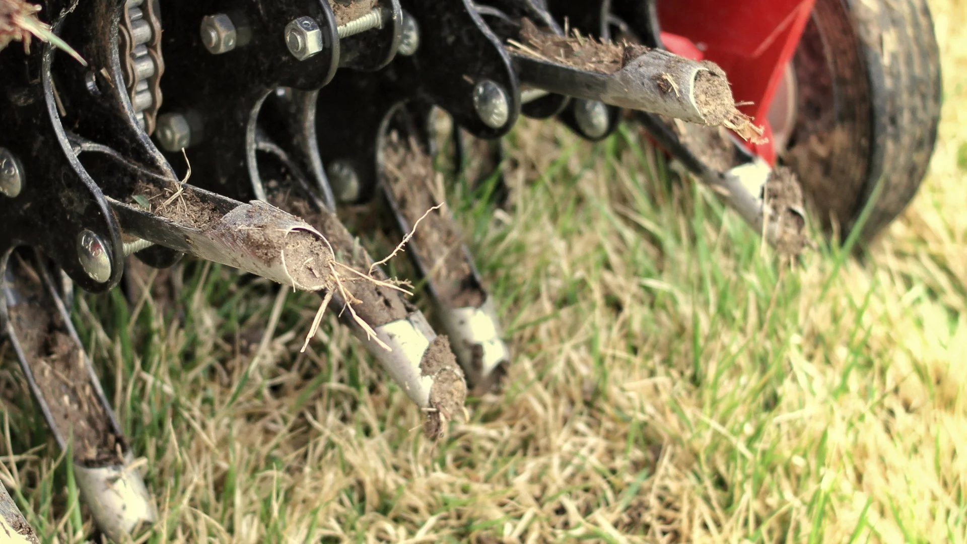 What Are the Pros & Cons of Core Aeration?