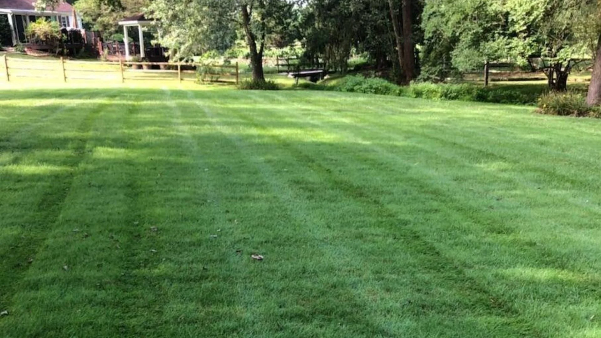 A Breakdown of the Differences Among Lawn Fertilizer Products