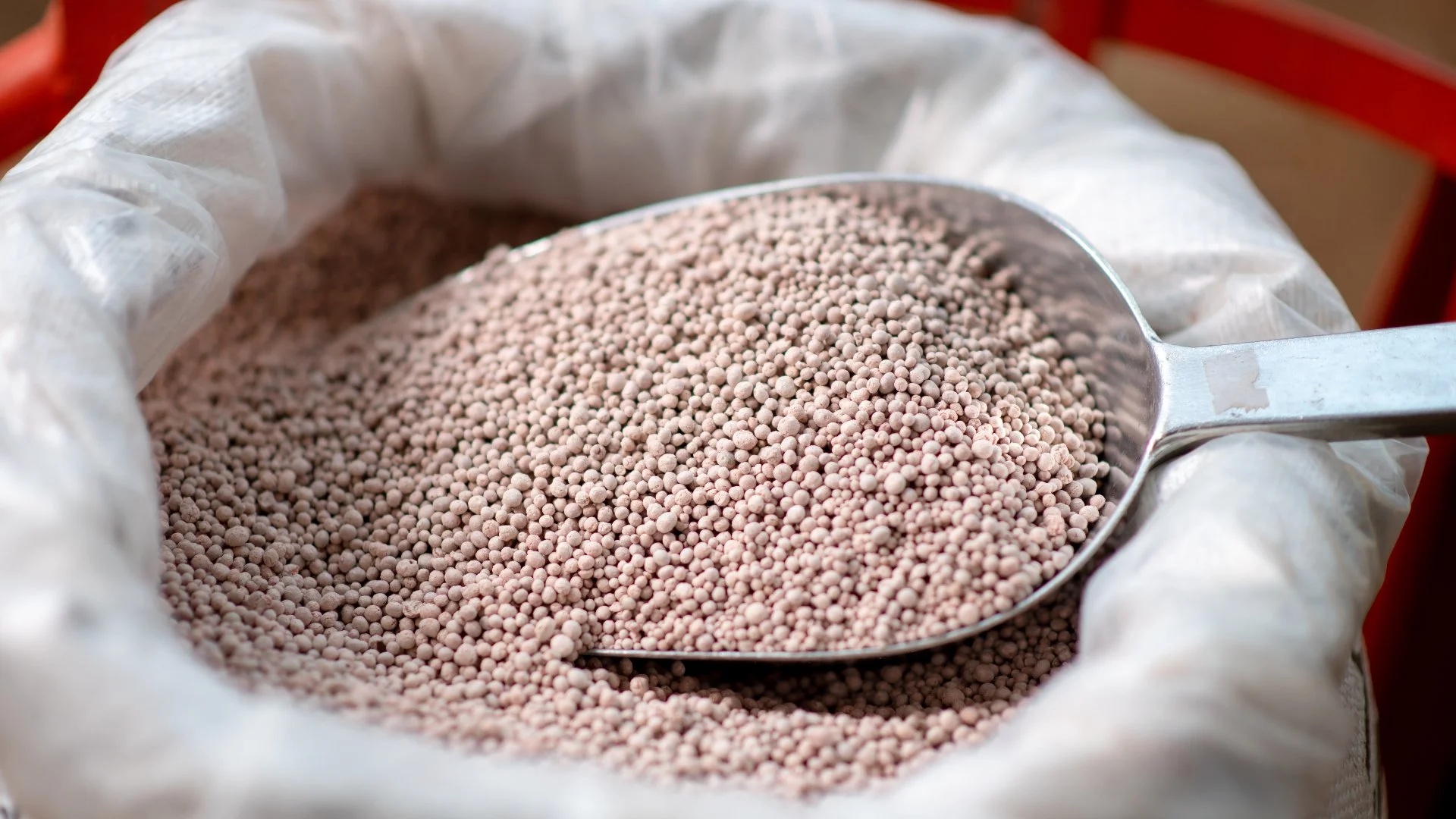 What Happens if You Give Your Lawn Too Much Fertilizer?