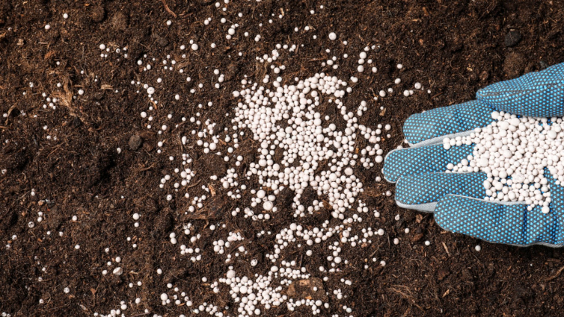 Organic-Based Fertilizer vs Synthetic Fertilizer - Which Option Is Better?