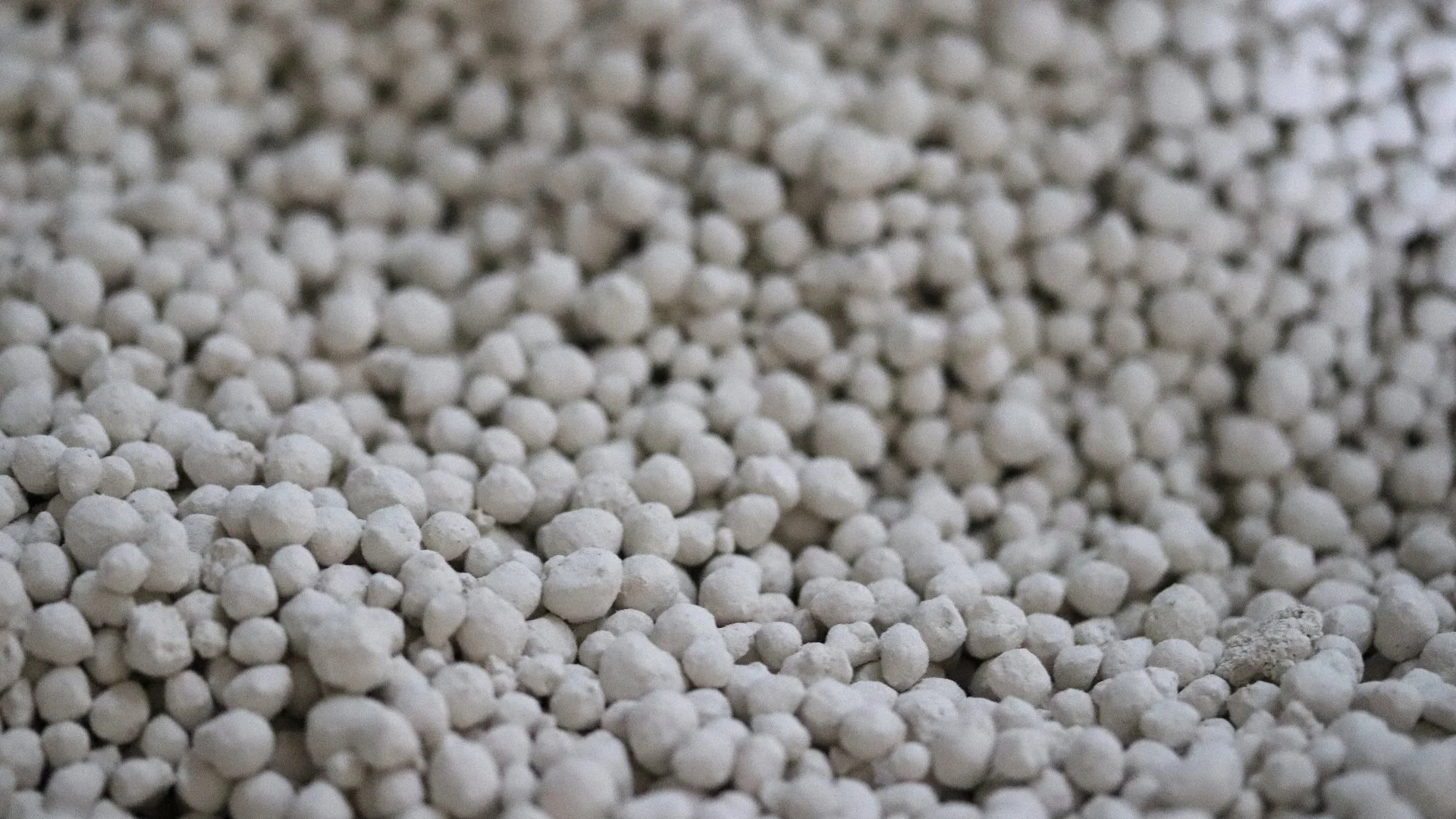 Lime Is a Great Lawn Care Treatment as Long as You Don’t Apply Too Much