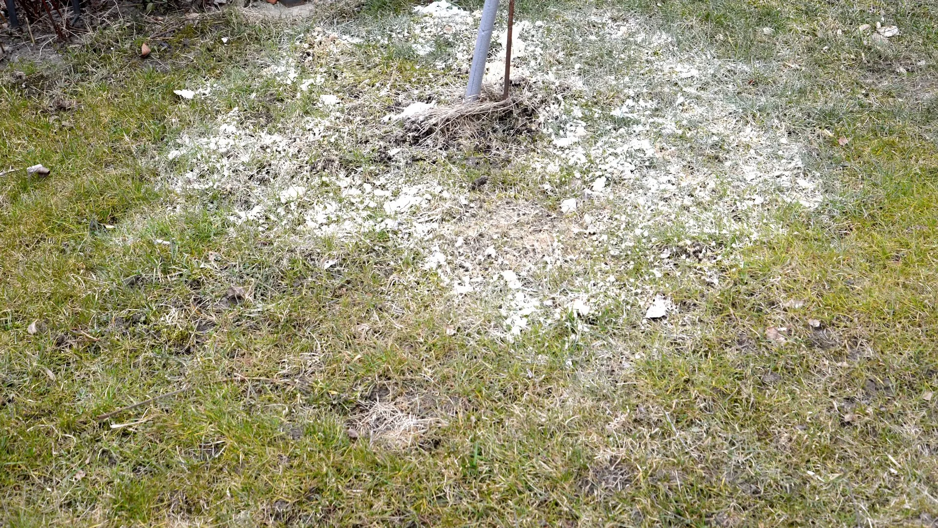 Signs to Look for That Might Mean Your Lawn Needs a Lime Treatment