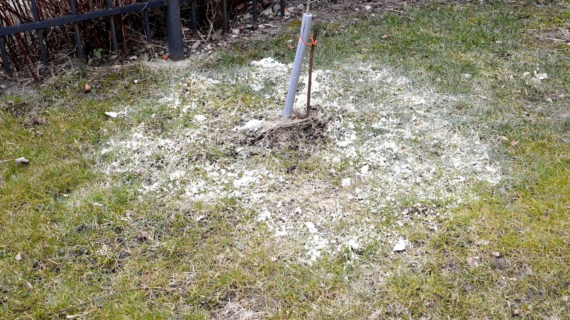 Can You Apply Grass Seed & Lime to Your Lawn at the Same Time ...