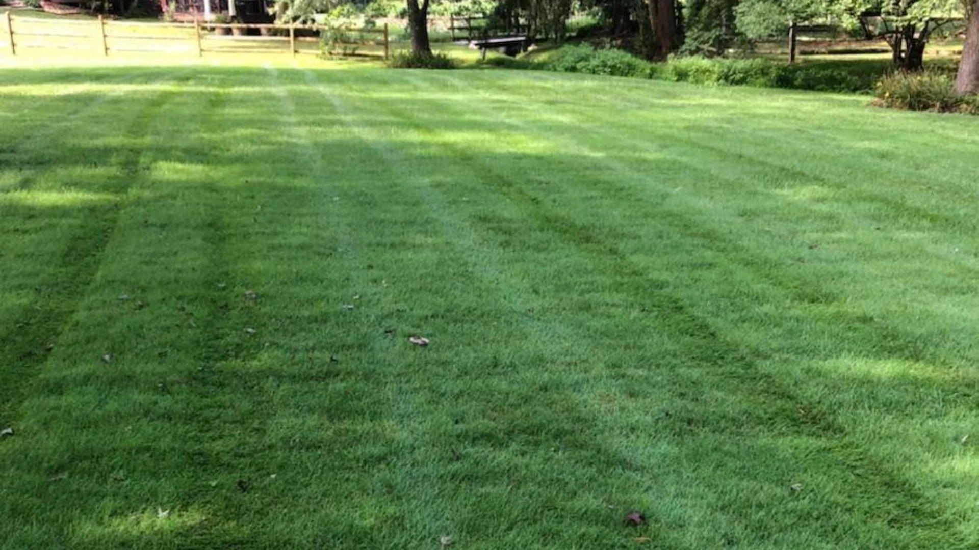 A lawn with thick, green grass in DE.