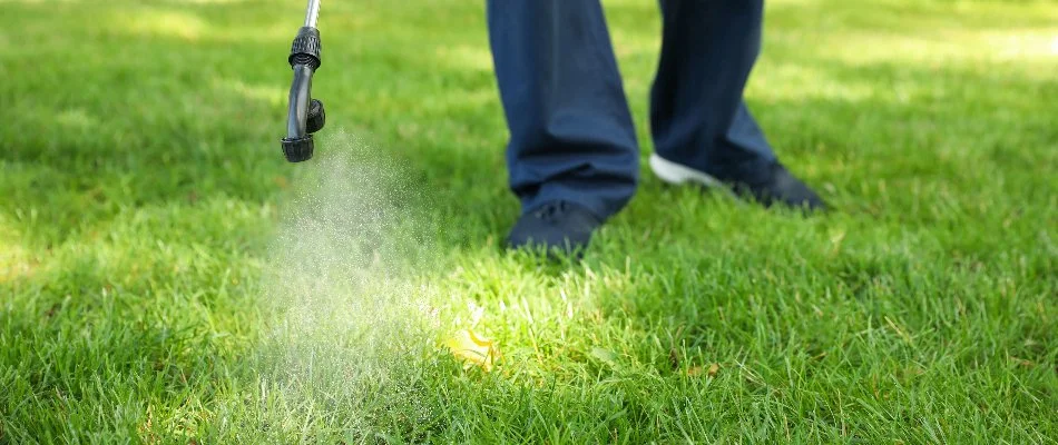 Applying liquid fertilizer on a lawn in Doylestown, PA.