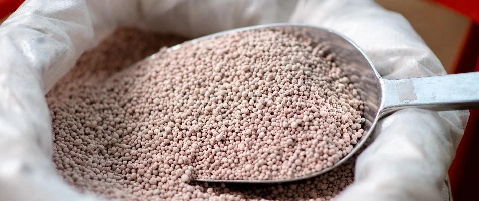 Granular fertilizer for grass in Newark, DE.