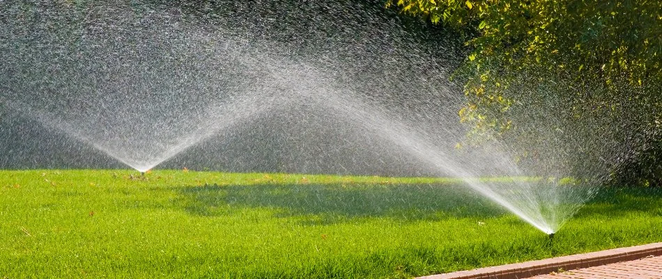 Lawn with sprinkler heads in Doylestown, PA.