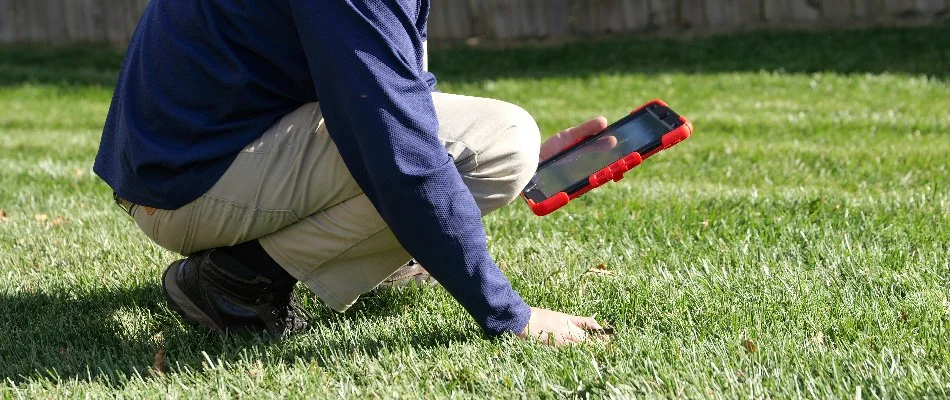 Professional checking green grass in Newark, DE.