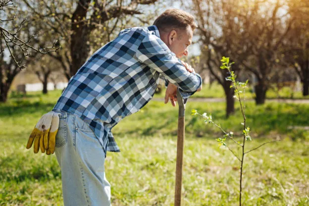 Lawn Care in Wallingford