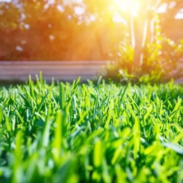 Delaware Valley Turf Fertilizing Celebrates National Garden Month!