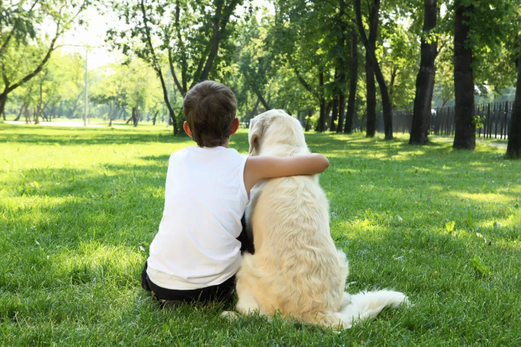 How to Keep a Healthy Lawn with Pets