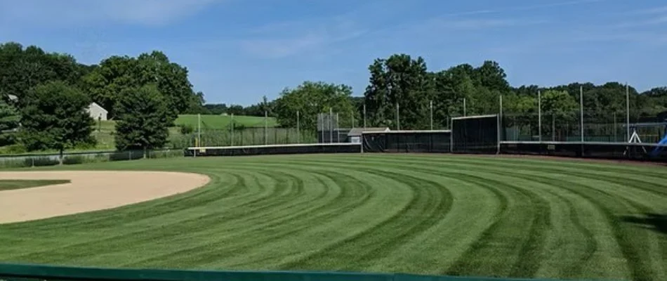Athletic field in Radnor, PA, with healthy grass.