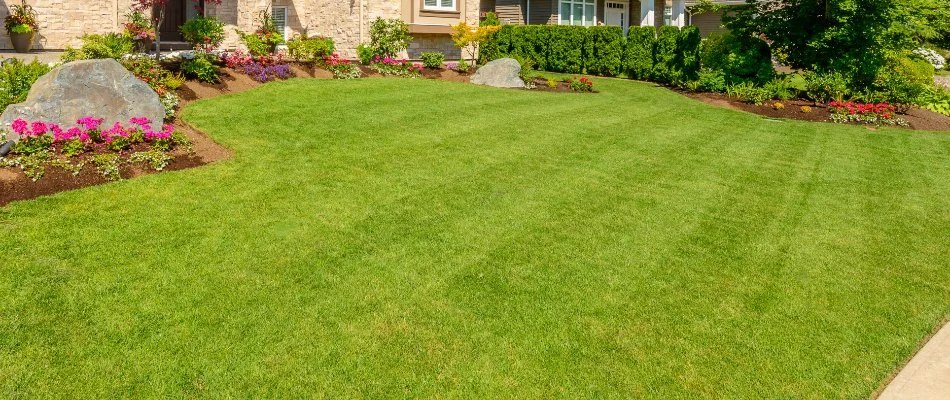 Fertilized green lawn with landscape bed in Lionville, PA.