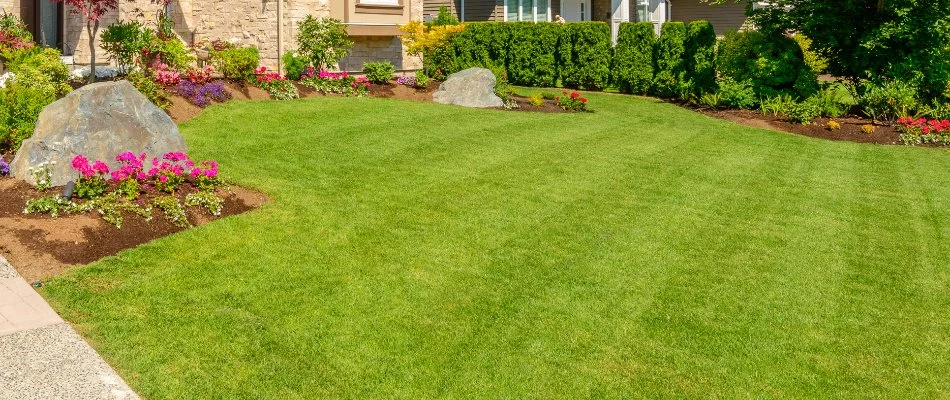 Healthy green grass in Lansdowne, PA, with plants and shrubs.