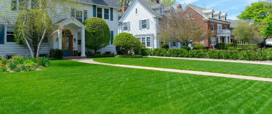 A short, green lawn and walkway in a front yard in Smyrna, DE.