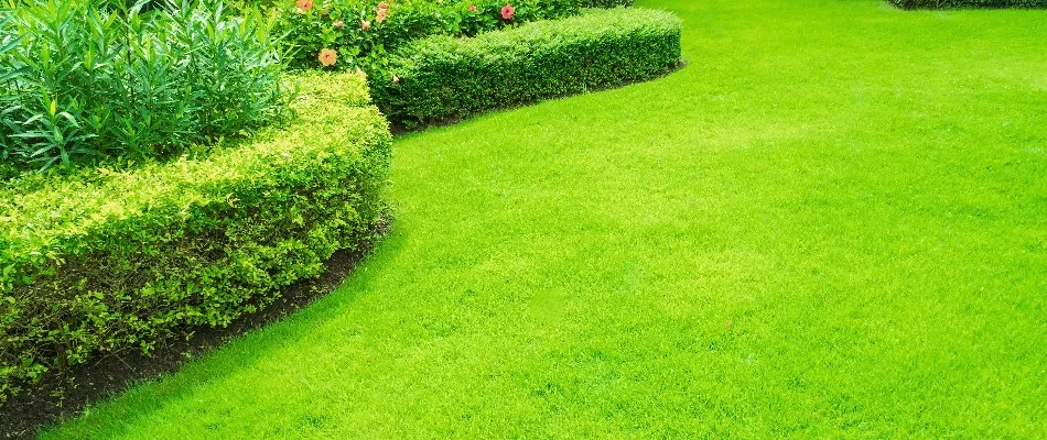 Green lawn and manicured plants on a property in Sellersville, PA.