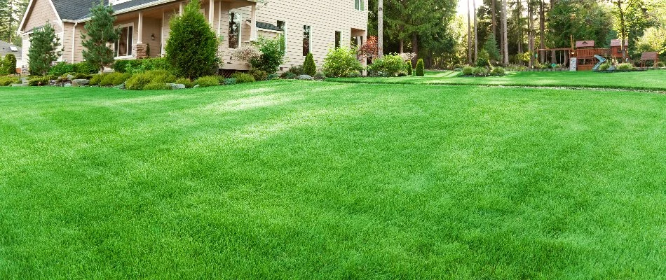 Side yard in Richboro, PA, with healthy, vibrant grass.