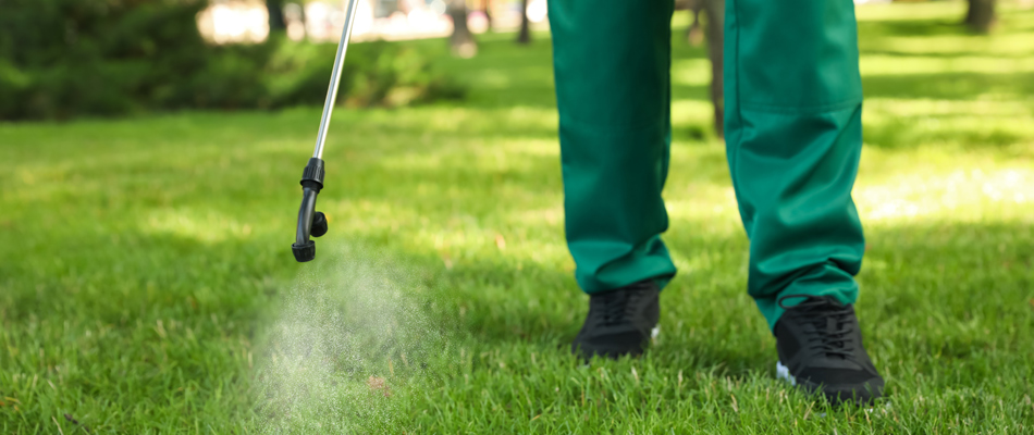 Lawn care treatment being applied by a professional in New Hope, PA.