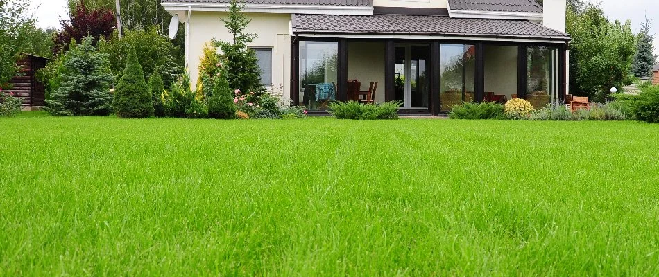 Thick fertilized lawn in Pike Creek, DE, with house.