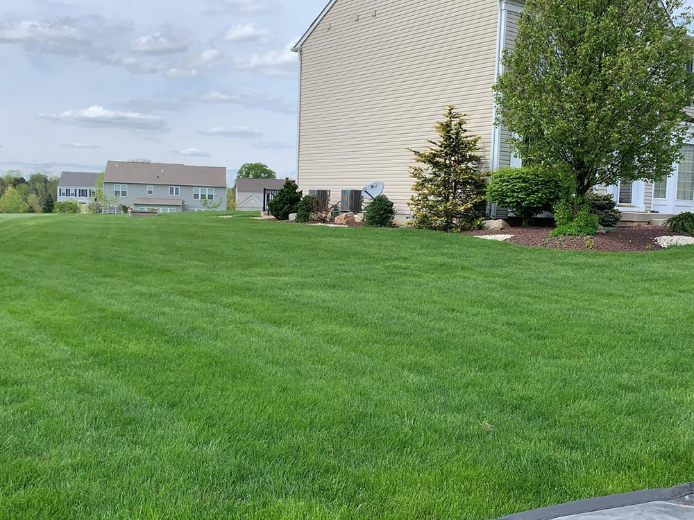Aeration in the Greater Delaware Valley, PA Area | Delaware Valley Turf