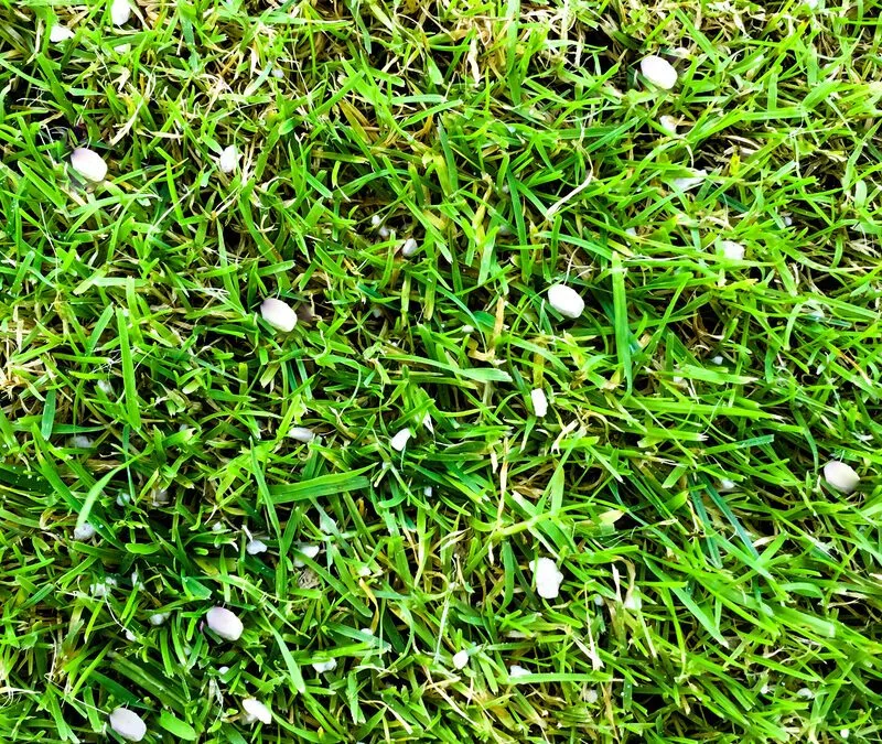 What is a Gypsum Treatment and How to Tell If Your Lawn Needs One